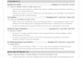 do professional resume and CV formatting